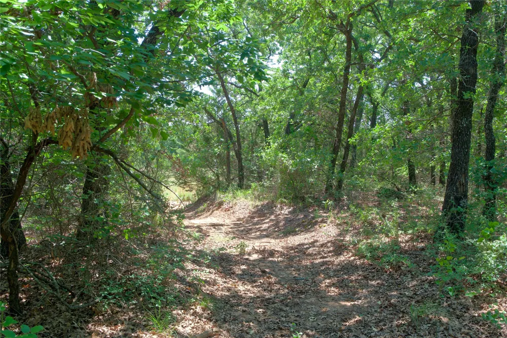FM 2382 St Jo, TX 76265
