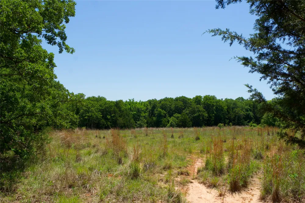 FM 2382 St Jo, TX 76265