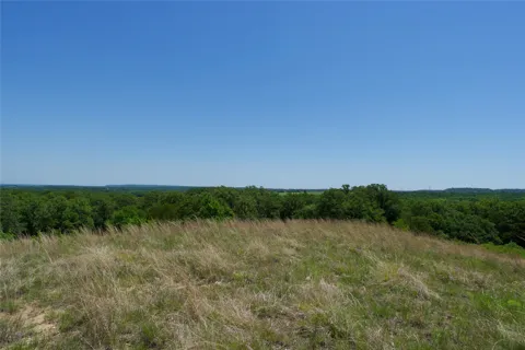 FM 2382