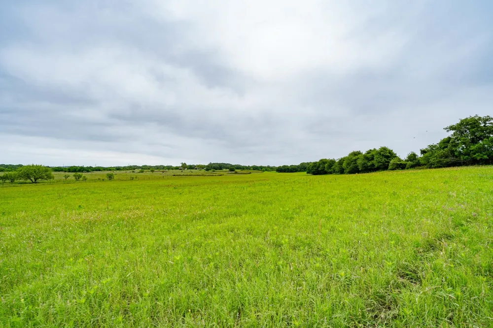 FM 880 S Cross Plains, TX 76443