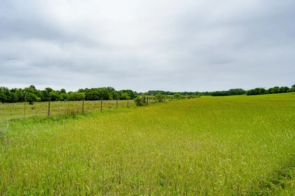 FM 880 S Cross Plains, TX 76443