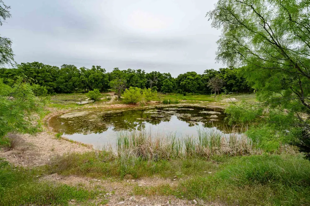 FM 880 S Cross Plains, TX 76443