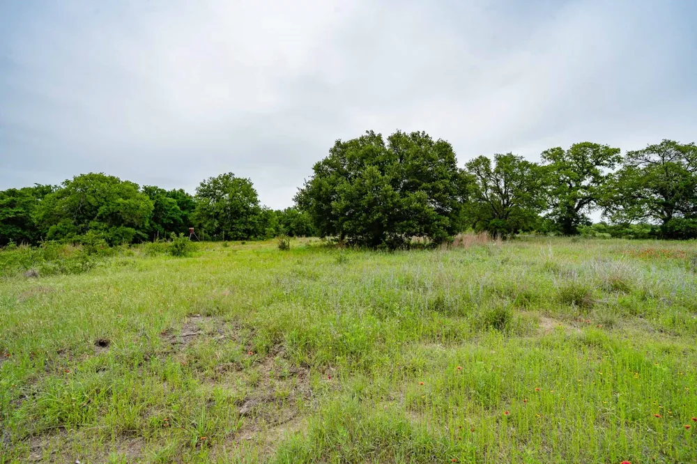 FM 880 S Cross Plains, TX 76443