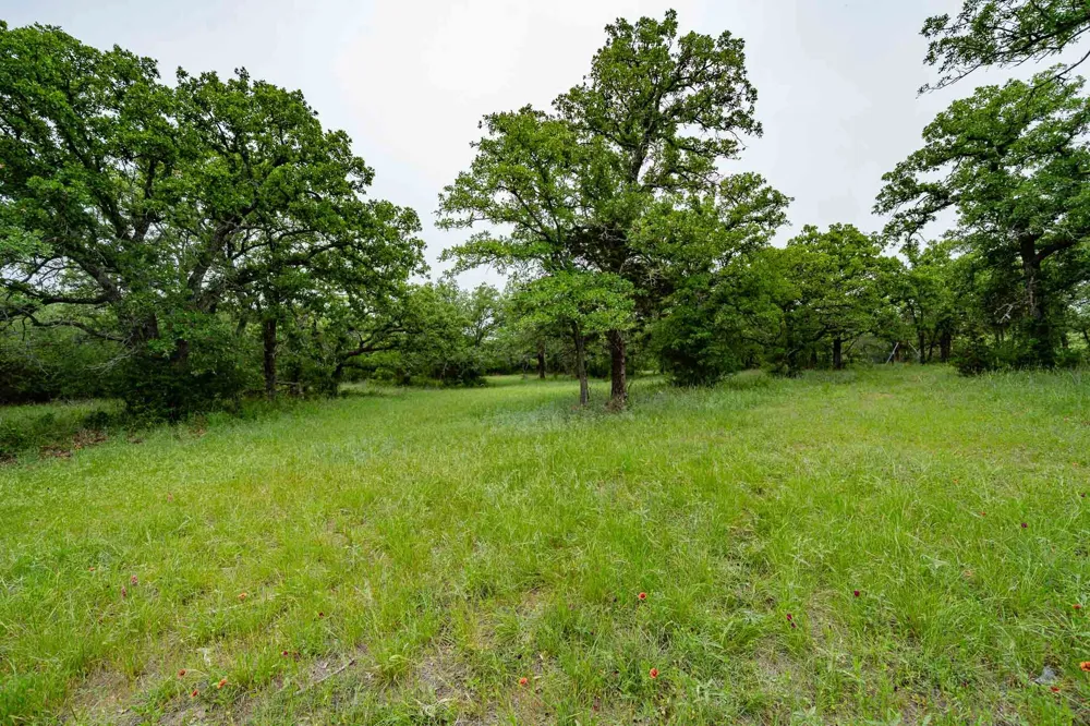 FM 880 S Cross Plains, TX 76443