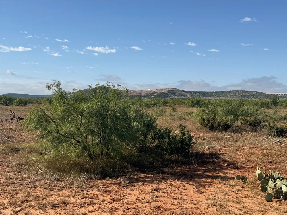 58 CR 343 Merkel, TX 79536