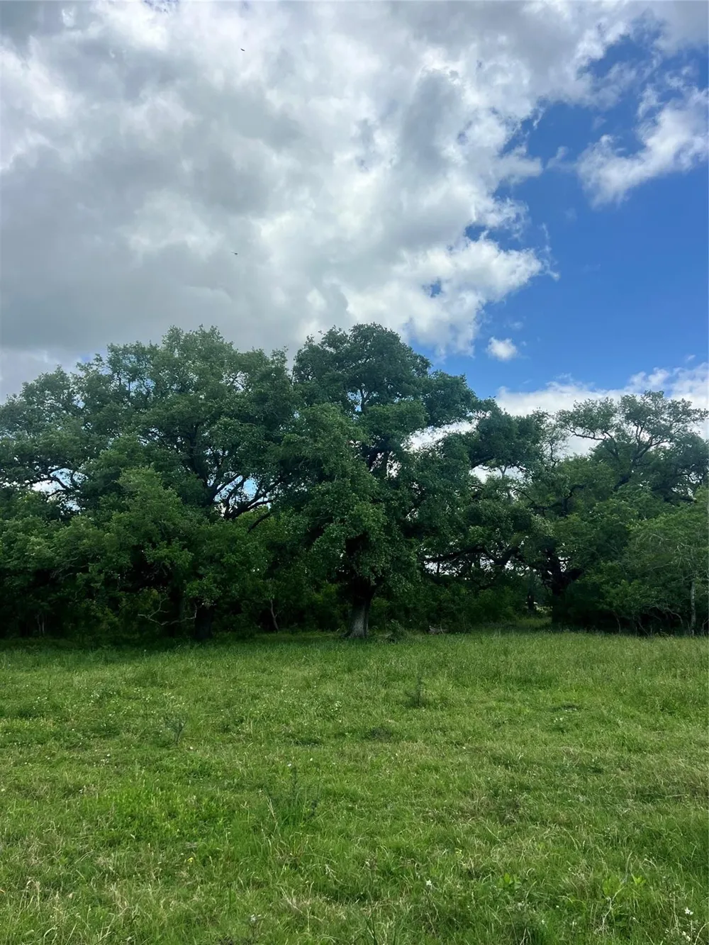 14113 Peters Road Needville, TX 77461
