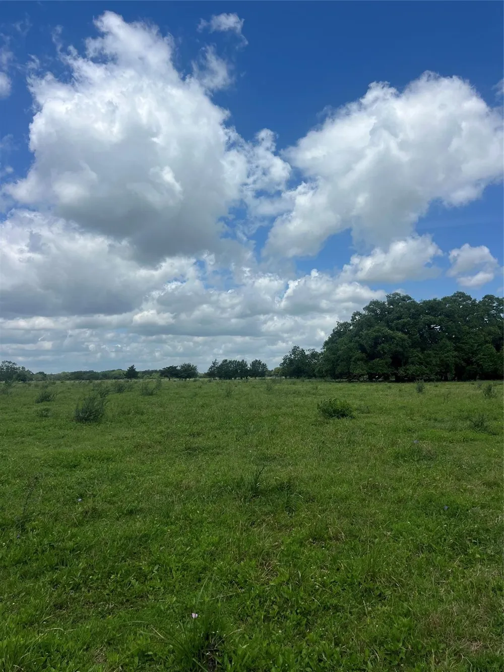 14113 Peters Road Needville, TX 77461