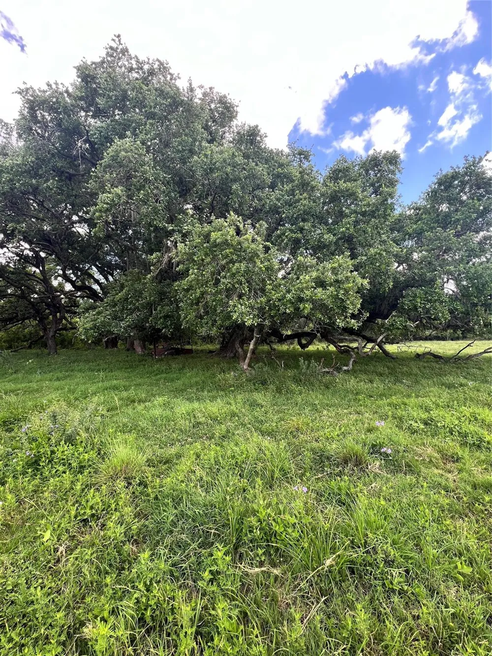 14113 Peters Road Needville, TX 77461