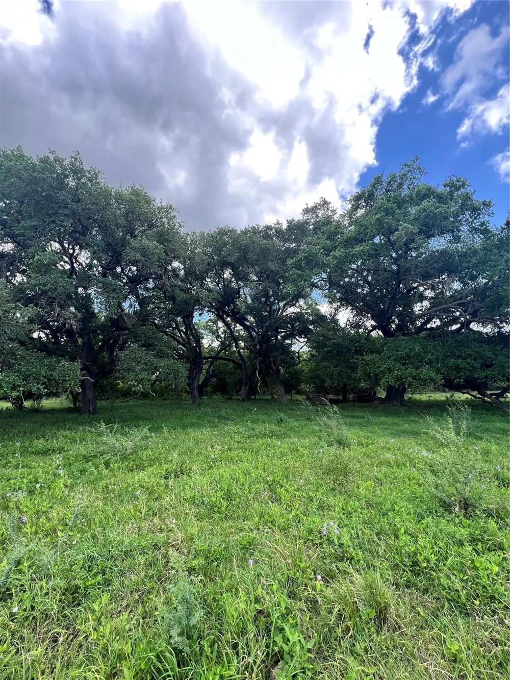 14113 Peters Road Needville, TX 77461