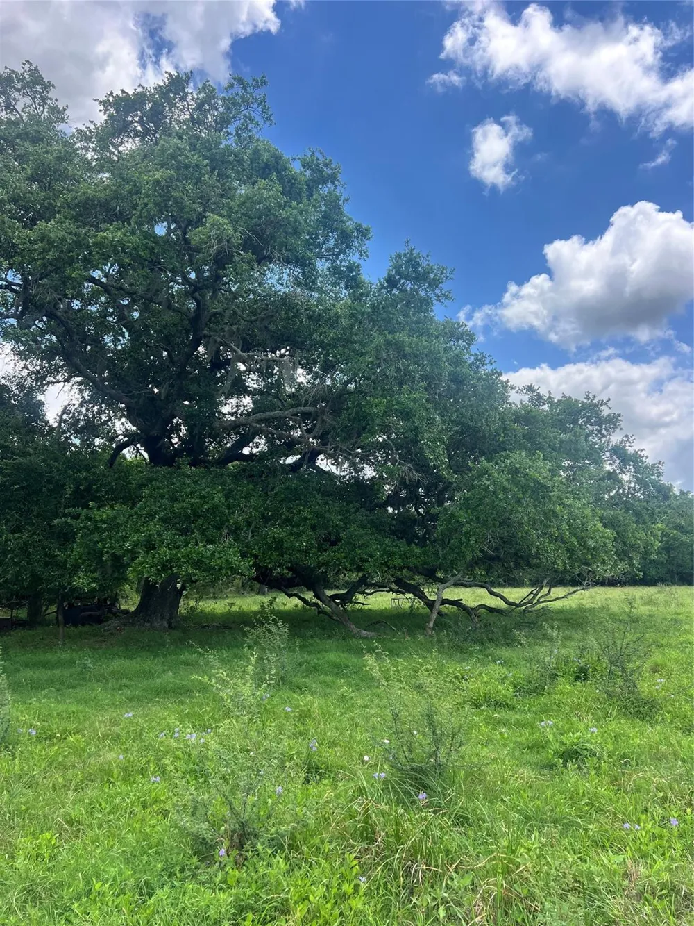 14113 Peters Road Needville, TX 77461