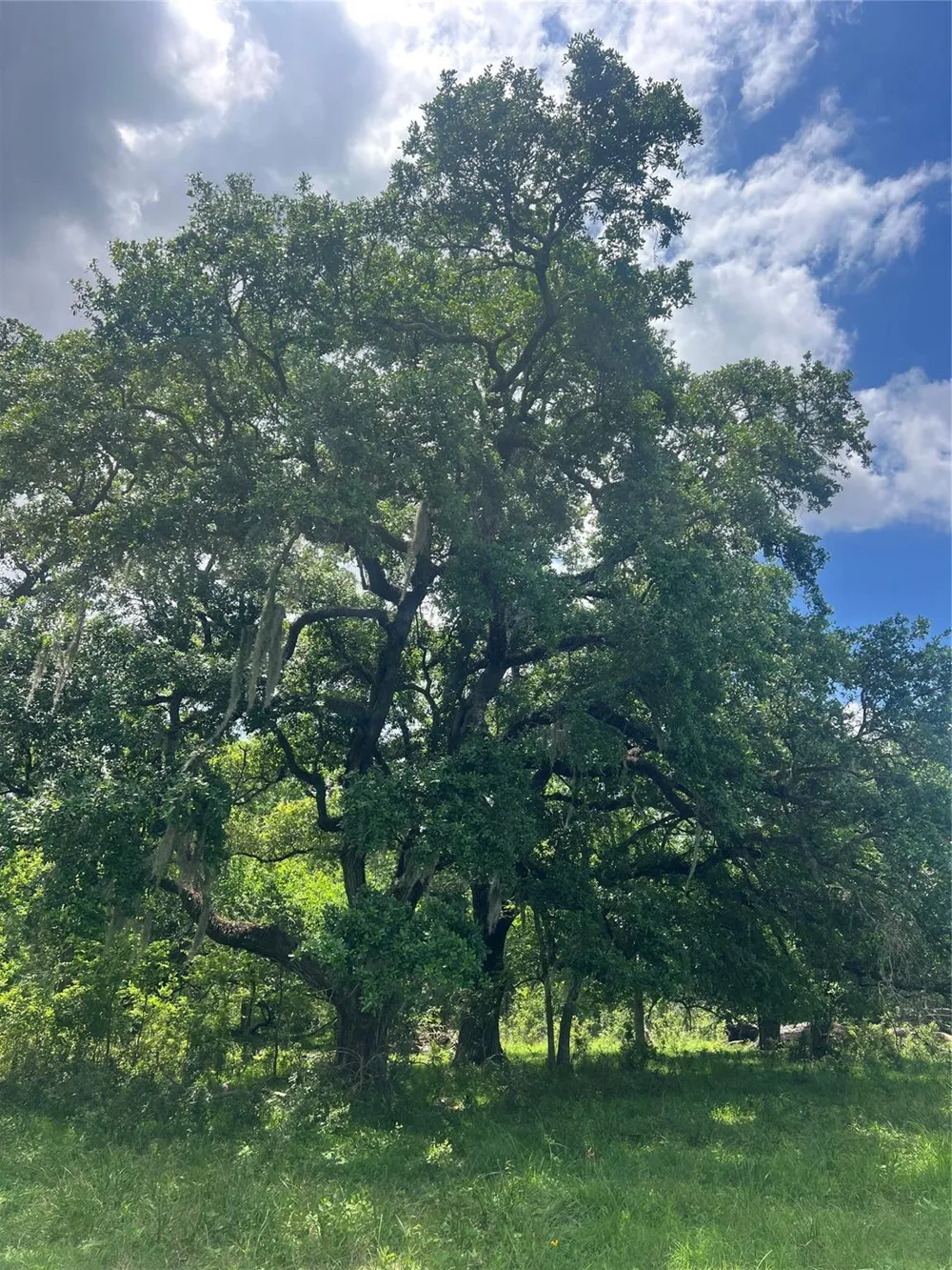 14113 Peters Road Needville, TX 77461