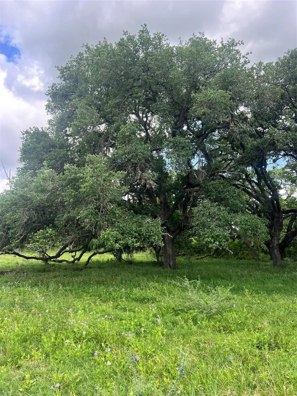 14113 Peters Road Needville, TX 77461