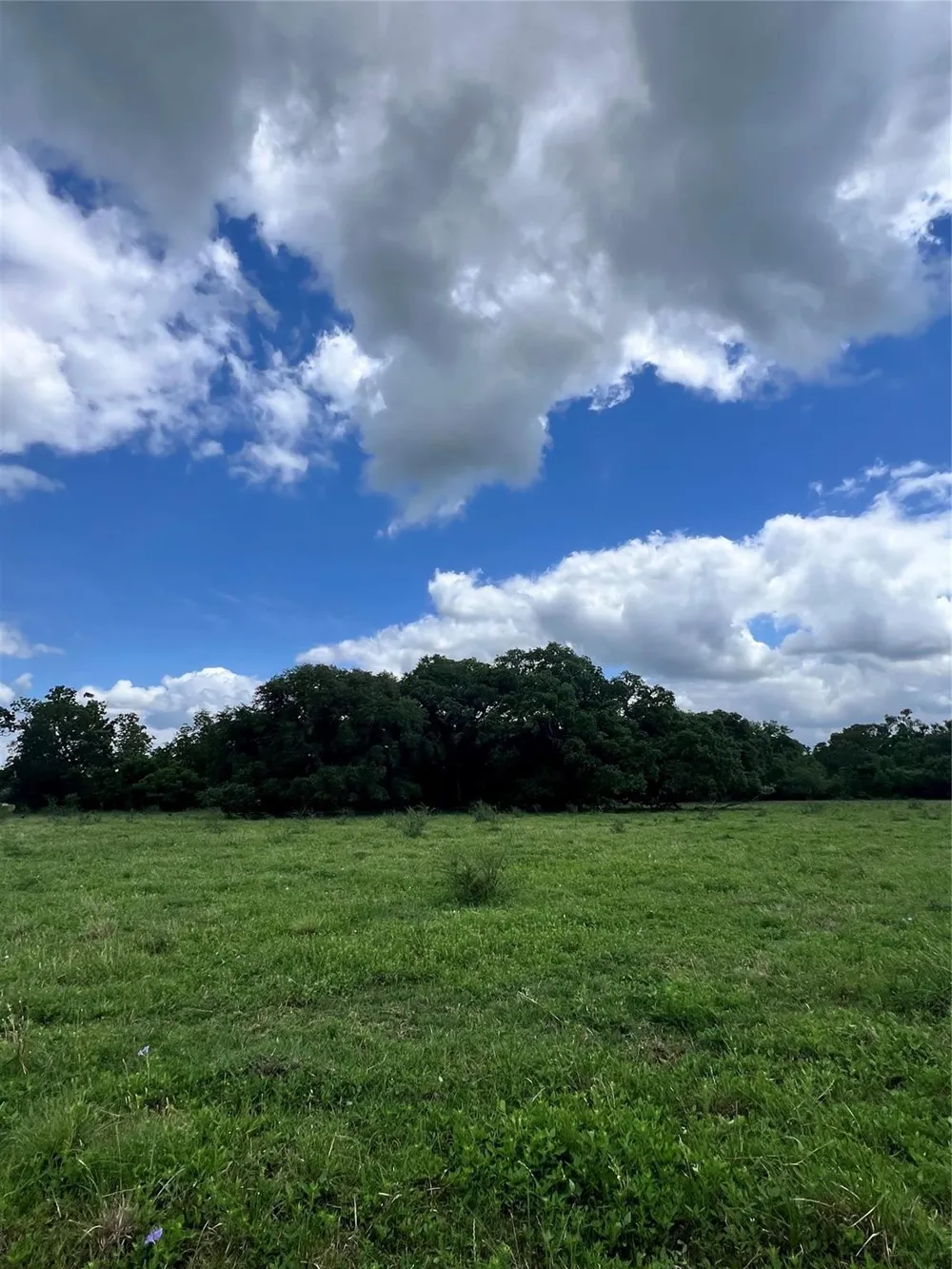 14113 Peters Road Needville, TX 77461