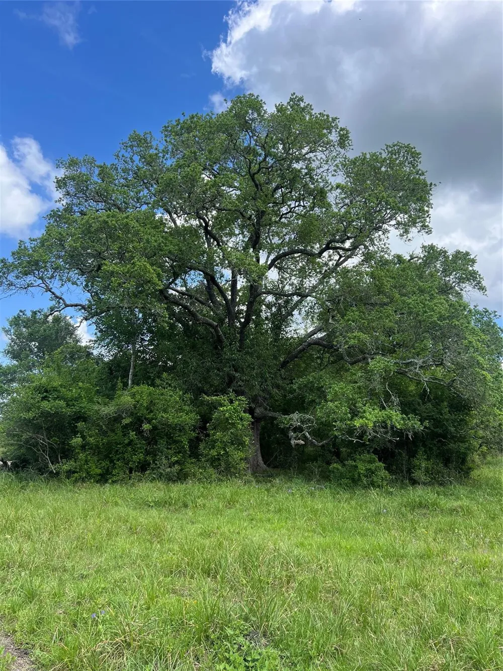 14113 Peters Road Needville, TX 77461