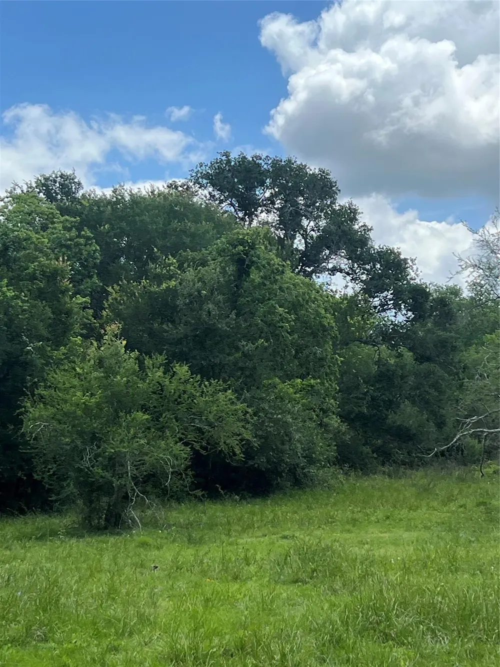 14113 Peters Road Needville, TX 77461