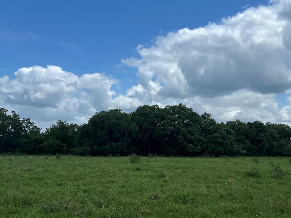 14113 Peters Road Needville, TX 77461
