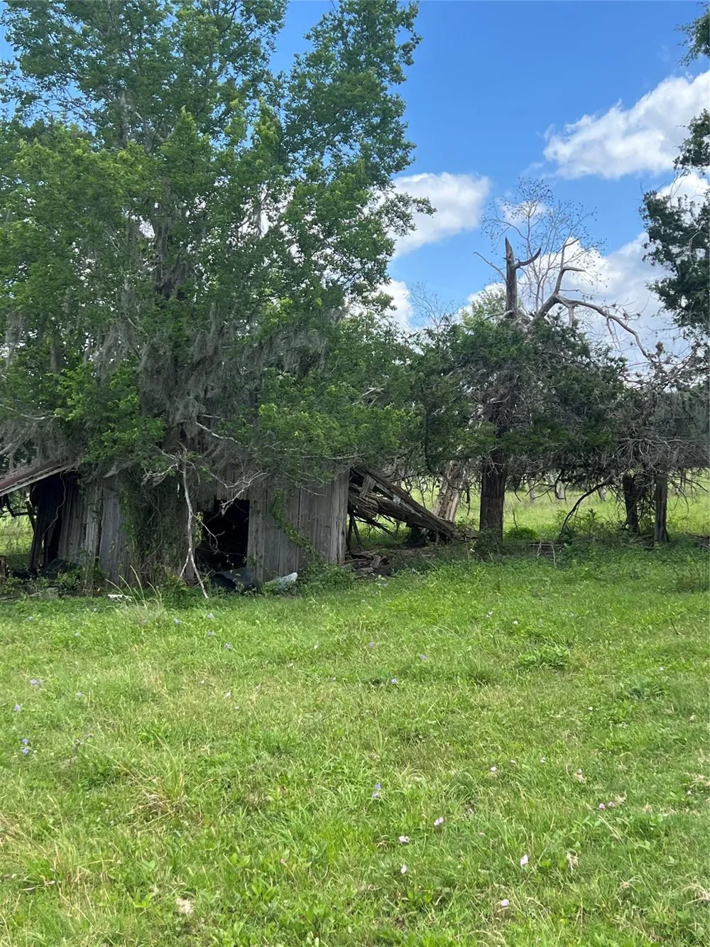14113 Peters Road Needville, TX 77461