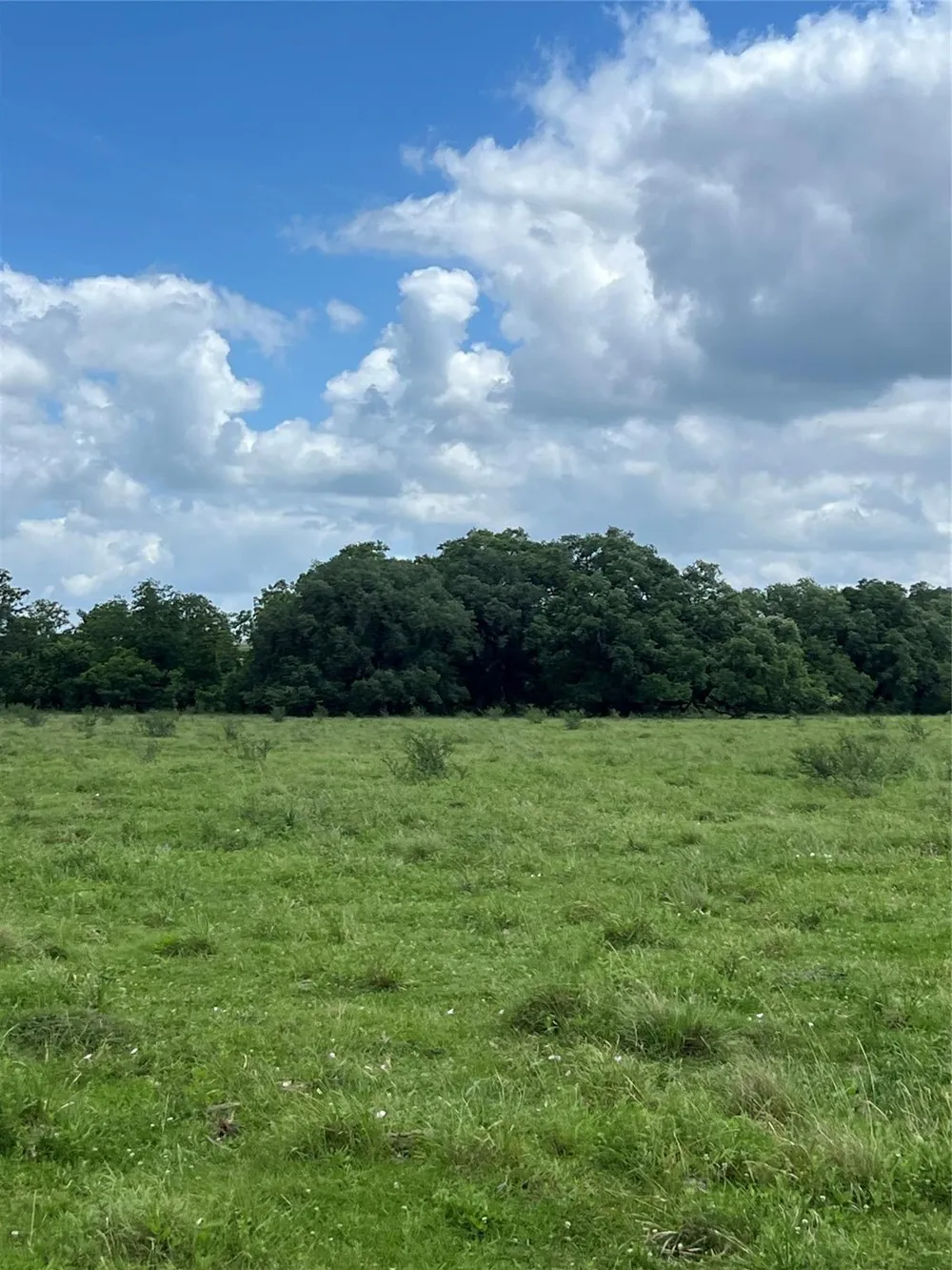 14113 Peters Road Needville, TX 77461