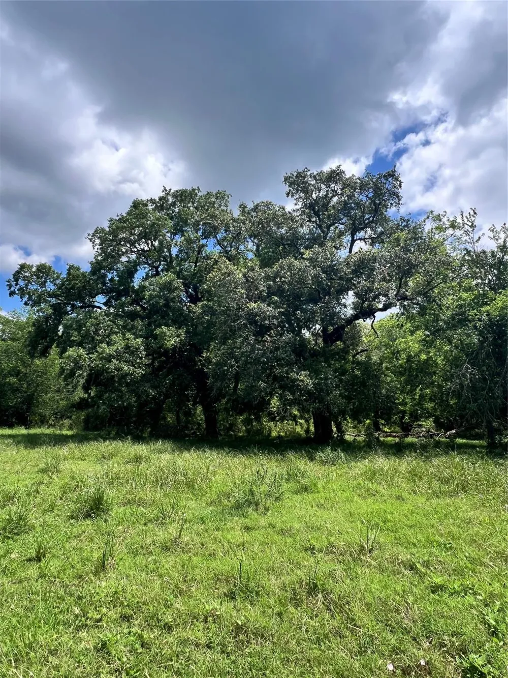 14113 Peters Road Needville, TX 77461