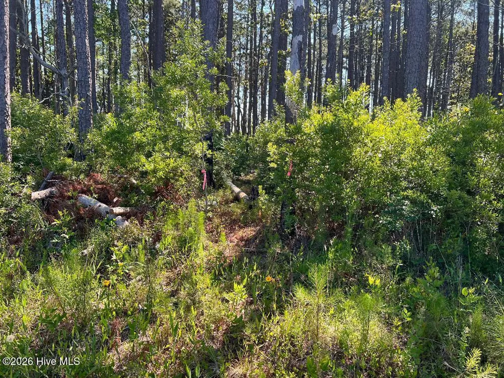 556 Highway 70 Smyrna Smyrna, NC 28579