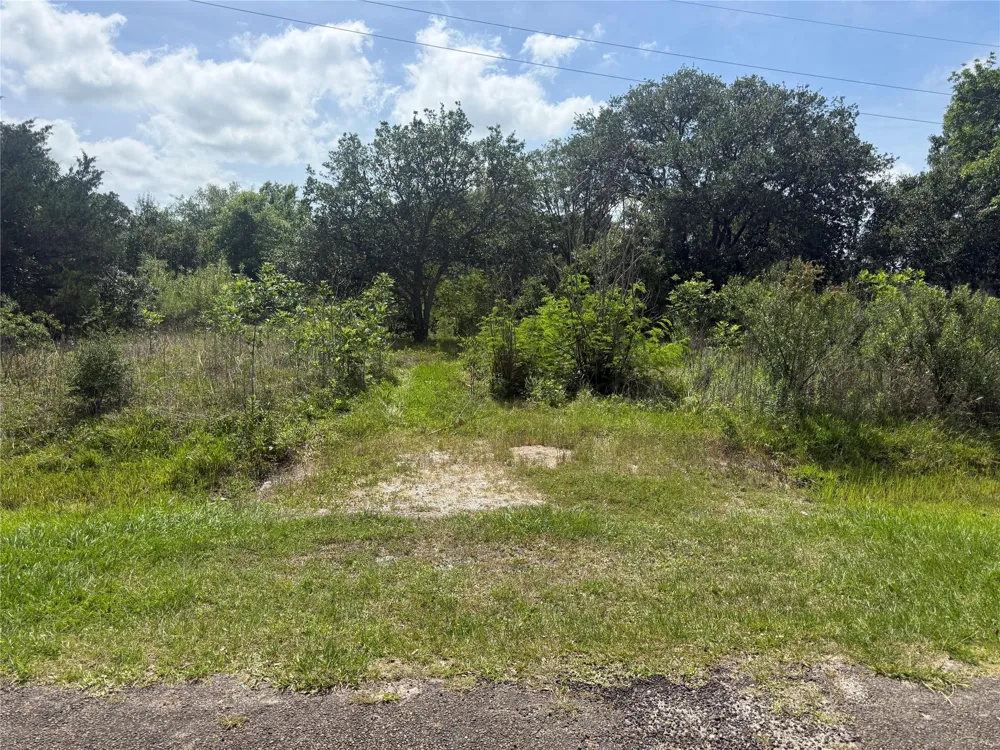 Hall Street Anahuac, TX 77514