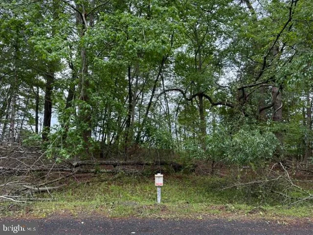 58 NEPTUNE DRIVE Greenbackville, VA 23356