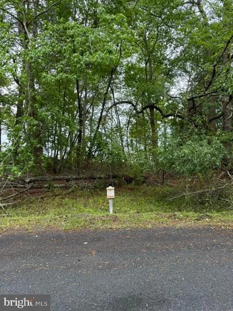 58 NEPTUNE DRIVE Greenbackville, VA 23356