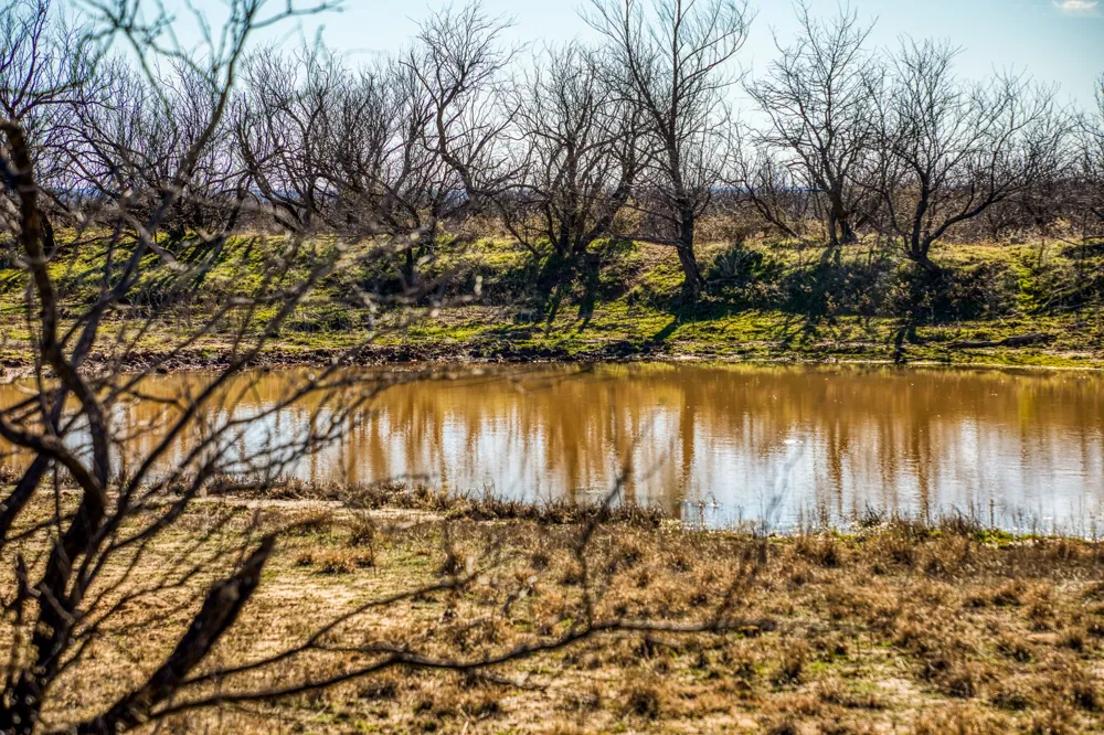 3151 Orth Olney, TX 76374