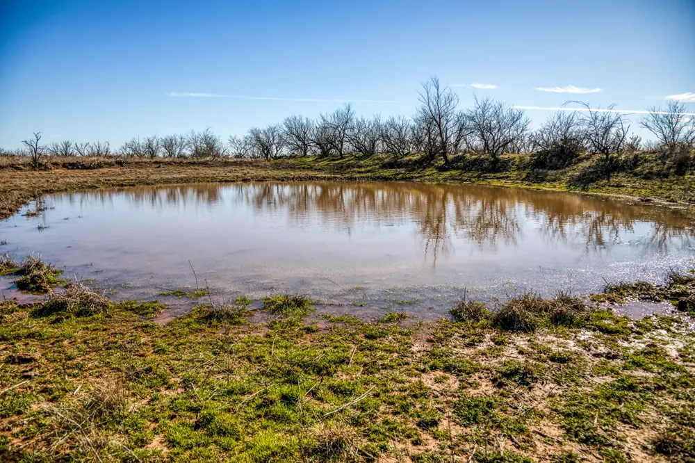 3151 Orth Olney, TX 76374