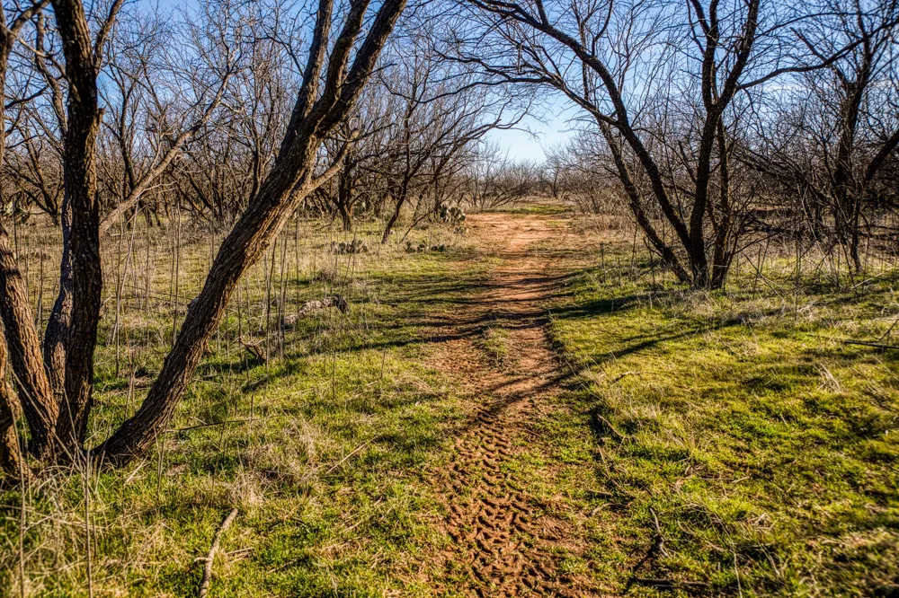 3151 Orth Olney, TX 76374