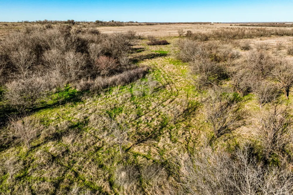 3151 Orth Olney, TX 76374