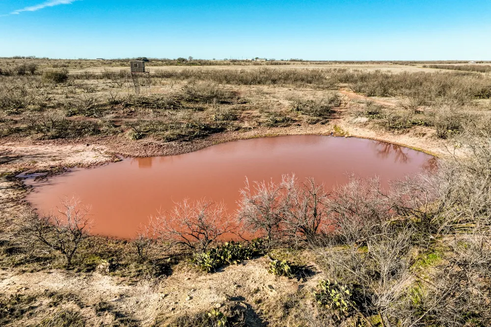 3151 Orth Olney, TX 76374