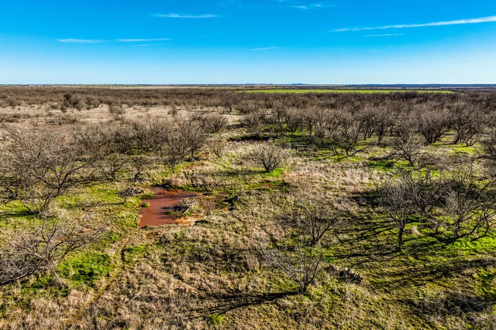 3151 Orth Olney, TX 76374