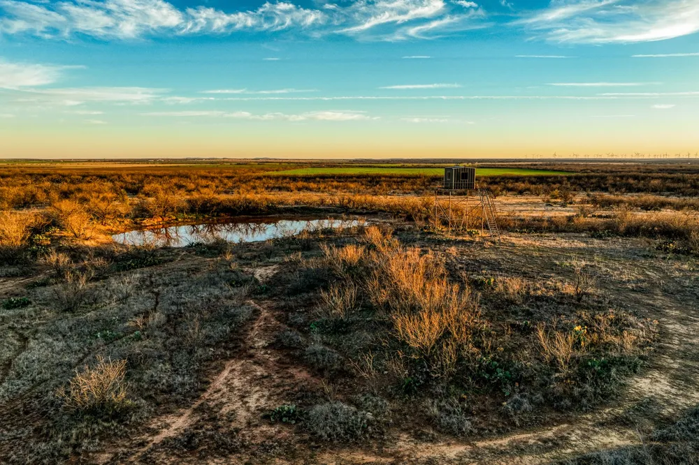 3151 Orth Olney, TX 76374