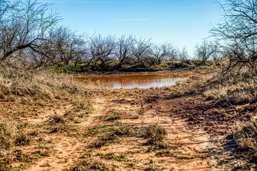 3151 Orth Olney, TX 76374