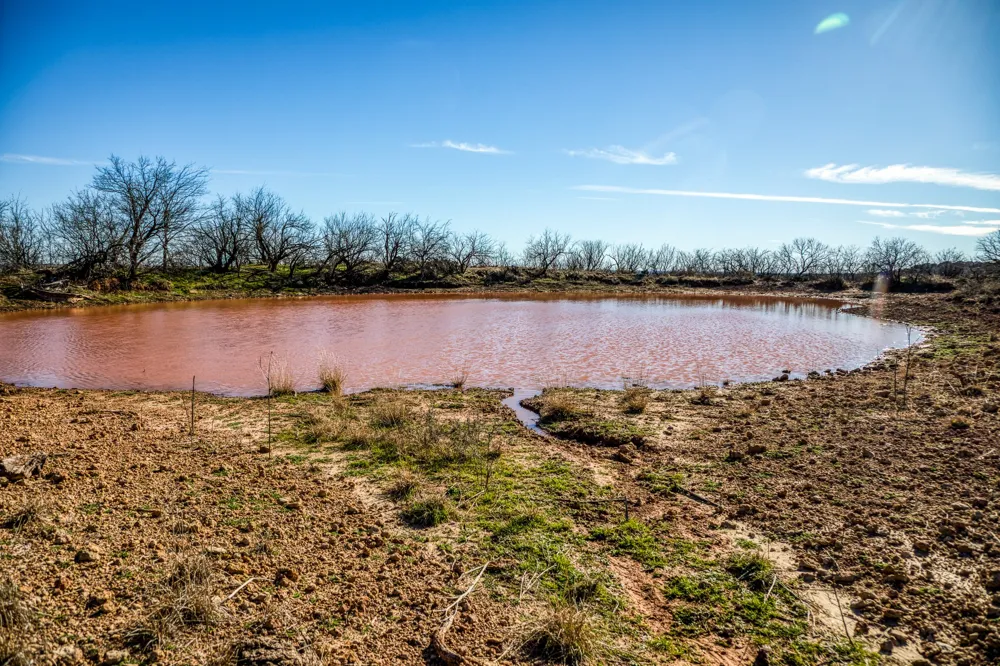 3151 Orth Olney, TX 76374