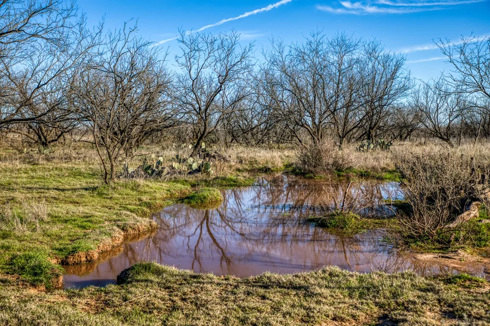 3151 Orth Olney, TX 76374