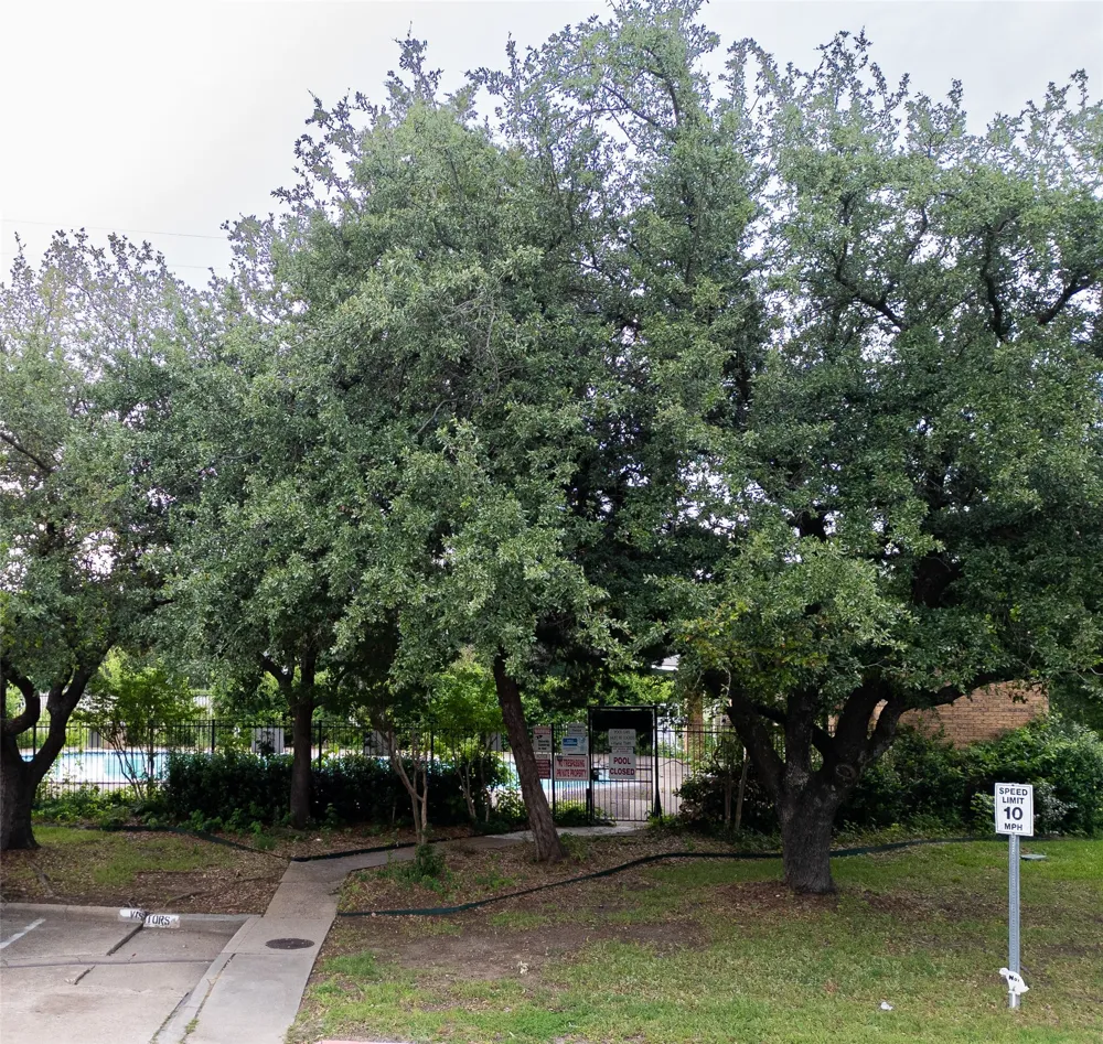 4950 Rolling Vista Mesquite, TX 75150