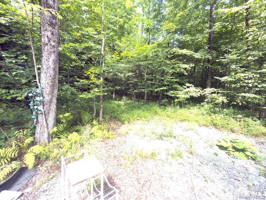 9362 New York 30 Rt 30 Call Listing Agent, NY 12053