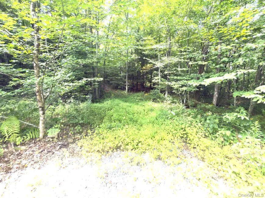 9362 New York 30 Rt 30 Call Listing Agent, NY 12053