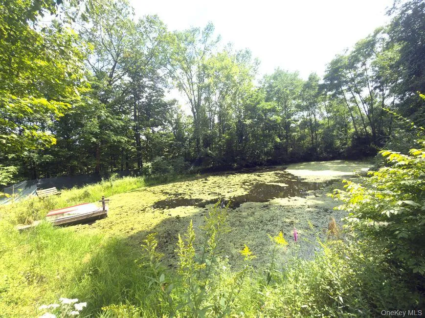 9362 New York 30 Rt 30 Call Listing Agent, NY 12053