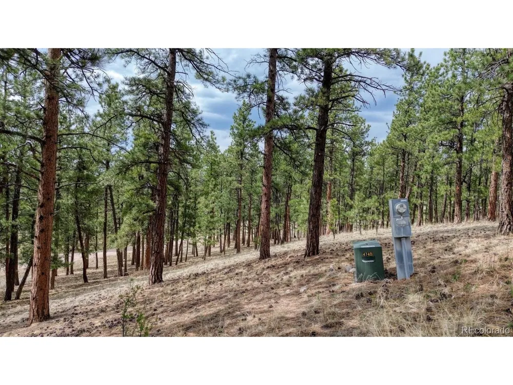453 Black Fawn Lane Westcliffe, CO 81252