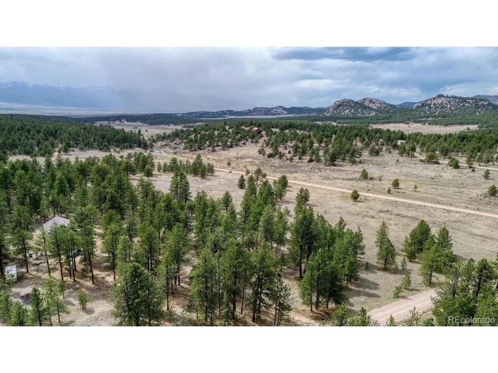 453 Black Fawn Lane Westcliffe, CO 81252