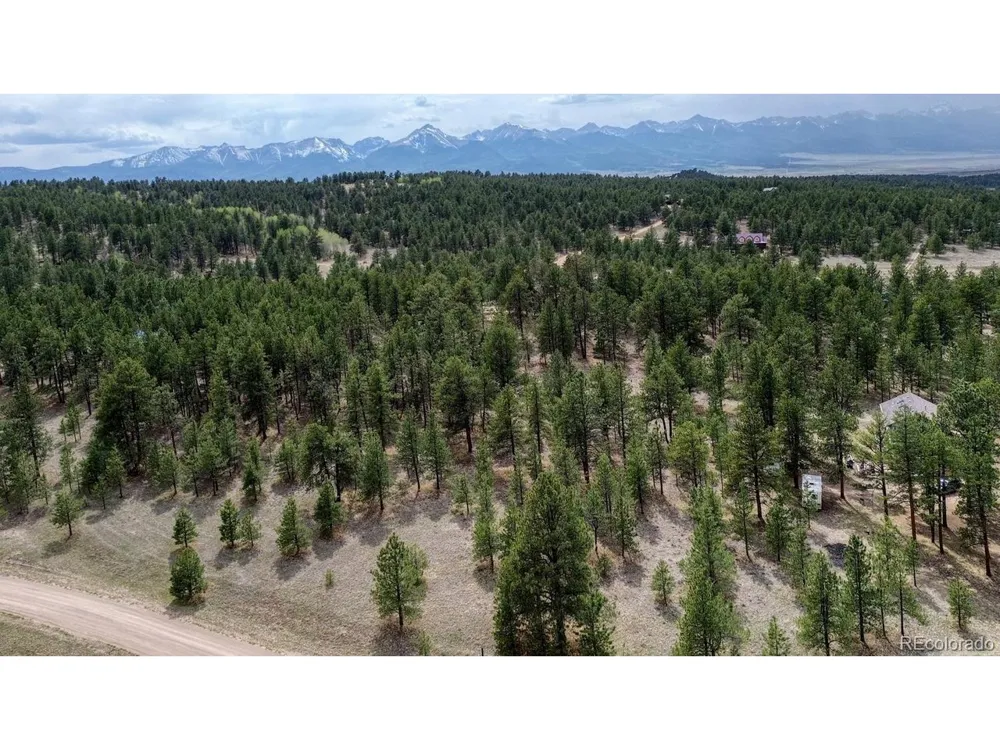 453 Black Fawn Lane Westcliffe, CO 81252