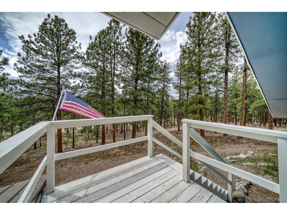 453 Black Fawn Lane Westcliffe, CO 81252