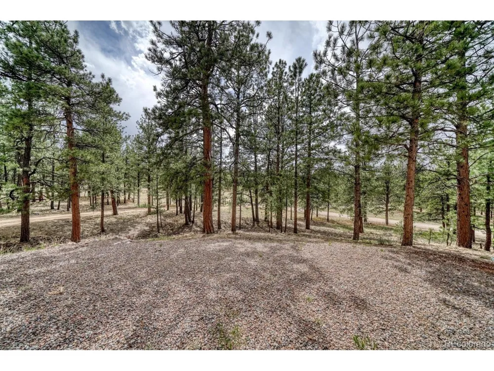 453 Black Fawn Lane Westcliffe, CO 81252