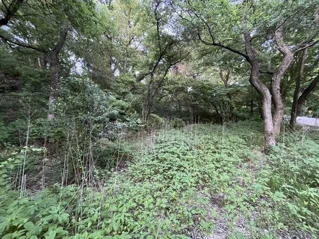 1878 W Belt Line Road Cedar Hill, TX 75104
