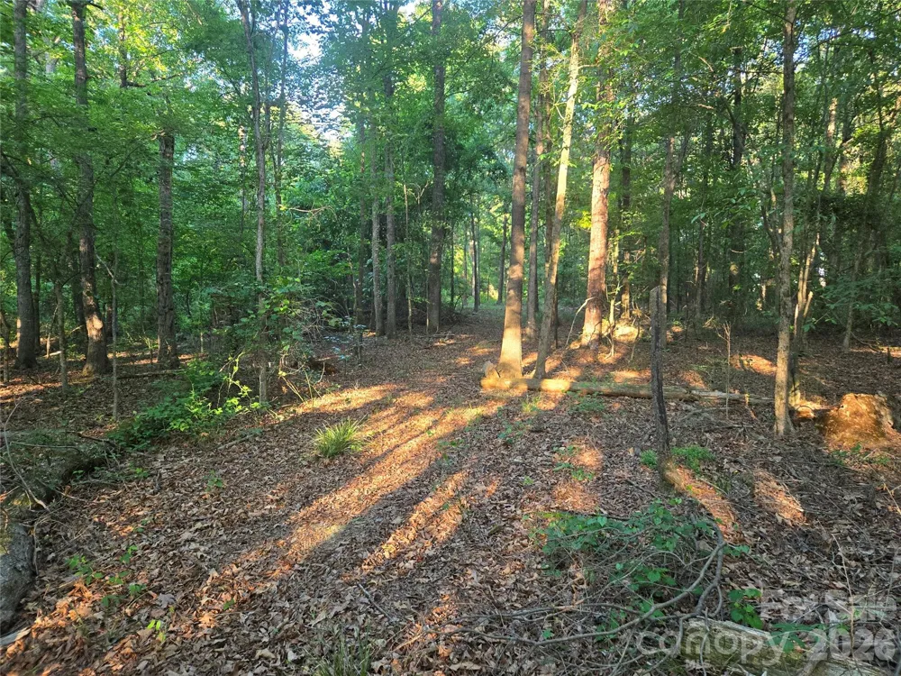 0000 218 Highway E Marshville, NC 28103