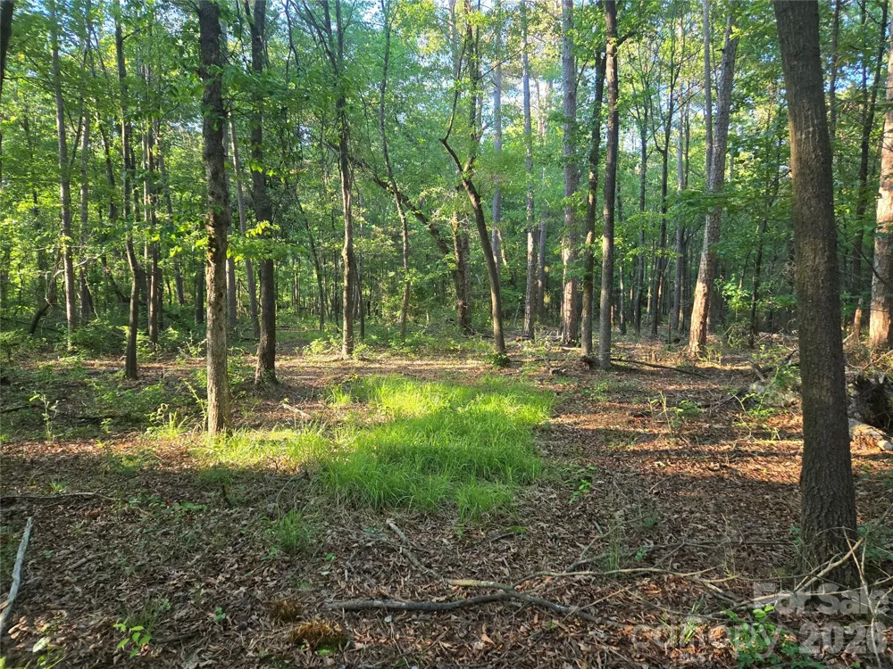 0000 218 Highway E Marshville, NC 28103
