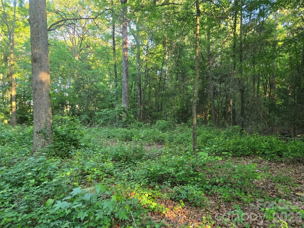 0000 218 Highway E Marshville, NC 28103